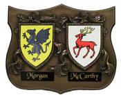 Bronze Double Family Crest Plaque HC11 image