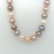 Multi Colour Pearl 9/9.5mm Necklace Silver Clasp image