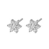 SILVER SIMPLY ESSENTIALS FROSTY BLOSSOM STUD EARRINGS ST454 D