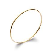 Amèlie 18ct Gold-Plated 2mm D-Shape Bangle 805732 image