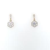 9ct Yellow Gold CZ Floral Drop Earrings GEZ634 image