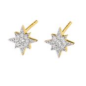 9ct Gold North Star CZ Stud Earrings GEZ607 D image