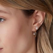 9ct Gold Freshwater Pearl with CZ Rim Stud Earrings GEP289 image