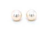 Freshwater Bouton Pearl 7.5-8mm 9ct Gold Stud Earrings GEP375