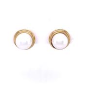 9ct Gold Freshwater Pearl 7.5-8mm Stud Earrings GEP255 image