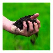 Jacks Magic Compost