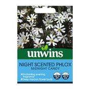 Unwins Night Scented Phlox Midnight Candy Seeds