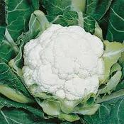 Cauliflower image