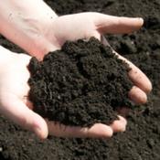 Top Soil 35ltr image