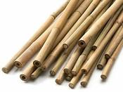 Bamboo Canes small image