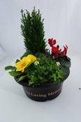 Grave Bowl Filled Container
