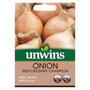 Onion 'Bedfordshire Champion'