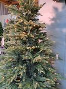 Tankardstown Prelit 8ft Tree