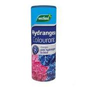 Hydrangea Colourant