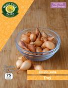 Onion Set Troy image