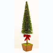 Potted Boxwood Small Tree W Red Bow 23278