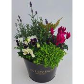 In Loving Memory Round Planted Container