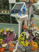 Blue &amp;amp; White Bird Table image