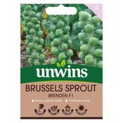 Brussels Sprout Brenden F1 Seeds
