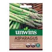 Asparagus Connover's Colossal Seed