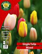 Tulip Single Mixed 10 Bulbs image