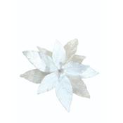 Winter Whites Stem 2544604