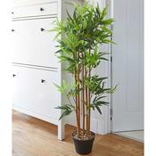 Bamboo 120cm