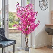 Bougainvillea - 170cm image