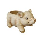 Pig Planter G0427 image