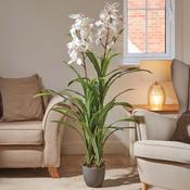 White Orchid 170cm image