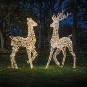 GoldTwist Stag 210cm, LV image