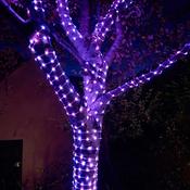 TwoTone String Lights - 200 LEDs - Orange/Purple, LV image
