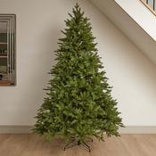 7ft Noble King Conifer image