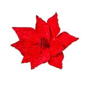 Radiant Reds Stem 2544015