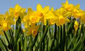 Mindfulness Based Stress Reduction Course - April 2023