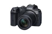Canon EOS R7 + RF-S 18-150mm IS STM image