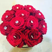 Dozen Roses | Order Roses - Best Buds