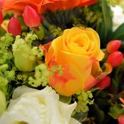 Hand tied Yellow and Orange Bouquet | Fresh Flower Bouquets - Best Buds image