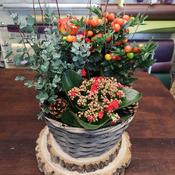 Autumn Planted Basket | Fresh Flower Bouquets - Best Buds image