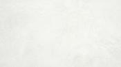 Talent Pearl (25x50)