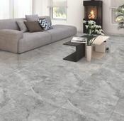 Bargano Grey Gloss (60x60) image