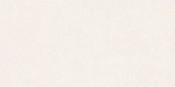 Titan Beige R-11 (30x60)