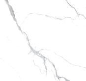 Staturio Nova Polished (60x60) - Best Price Tiles