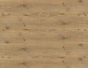 Haru Tan (20x120) - Best Price Tiles