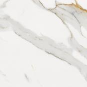 Florida Natural Gloss (60x60) - Best Price Tiles