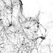 Staturio Medicea Matt (80x80) - Best Price Tiles
