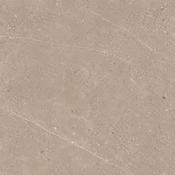 Unika Bone (60x60) - Best Price Tiles image