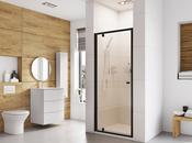 Pivot Shower Door 900mm Black - Best Price Tiles