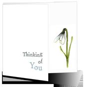 Thinking of you - Big Leap Designs image