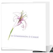 Le Comhbhrón ó Chroí - Big Leap Designs
